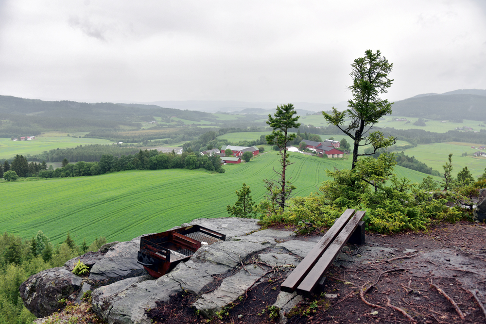 Utsikt fra Sorgenfri, Bjrkberget