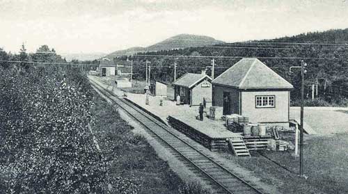 Mære jernbanestasjon [ca. 1920]