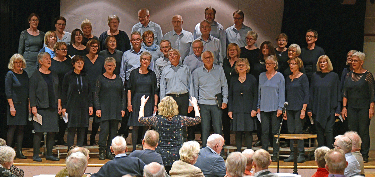Steinkjer blandakor - 2019