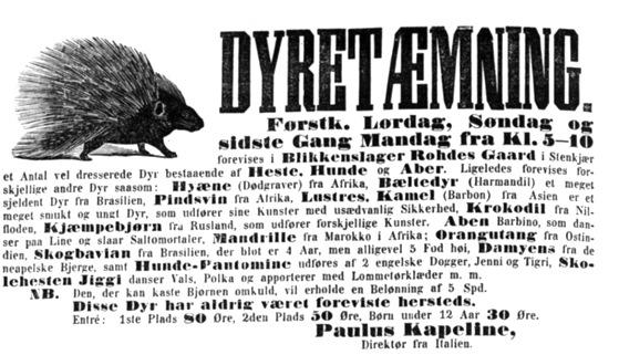 Dyresirkus i Rohdegården i 1878