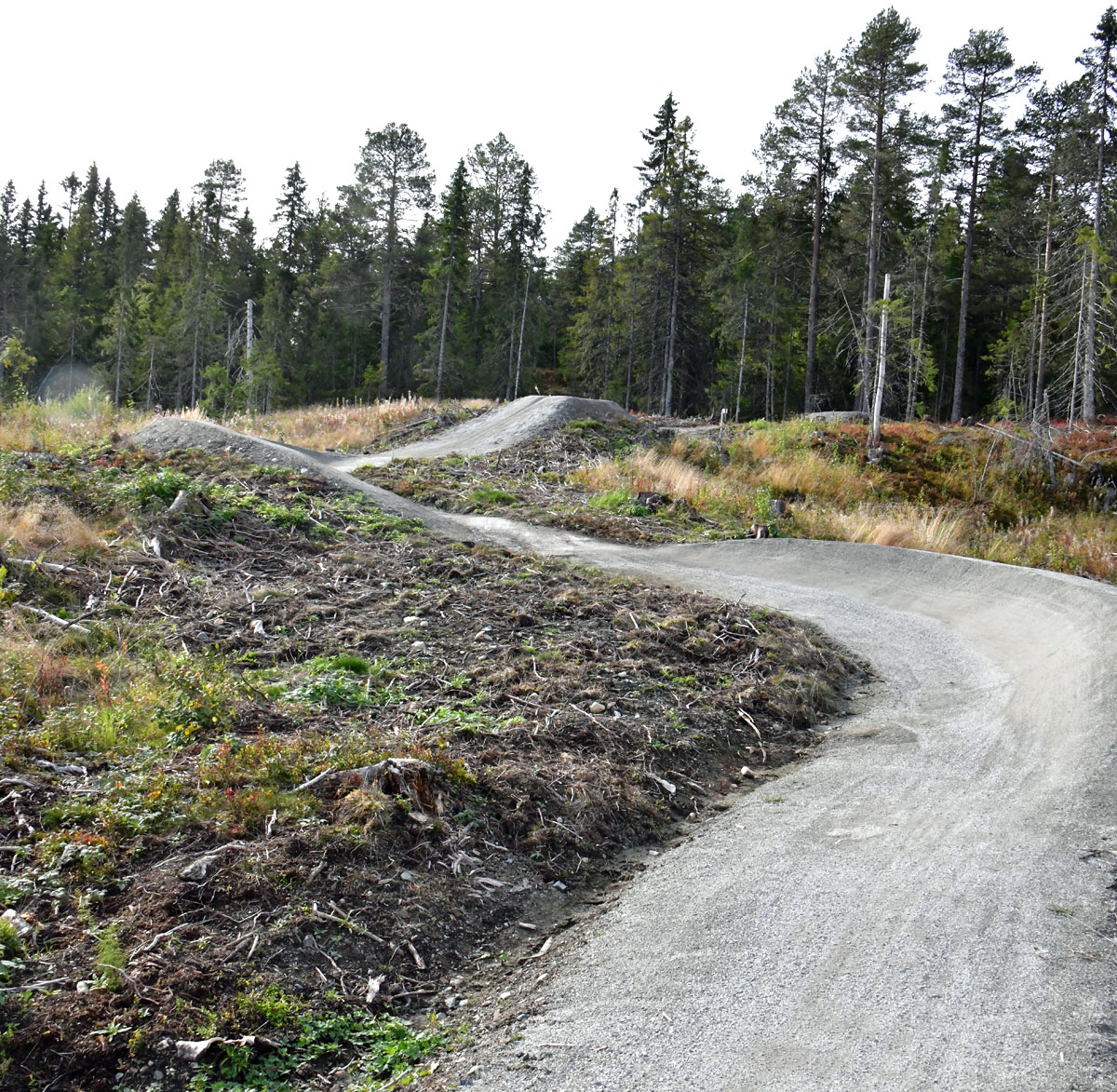 Steinkjer sykkelpark - skogsløype