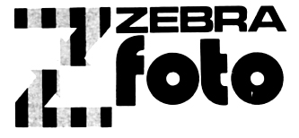 logo Zebra foto 