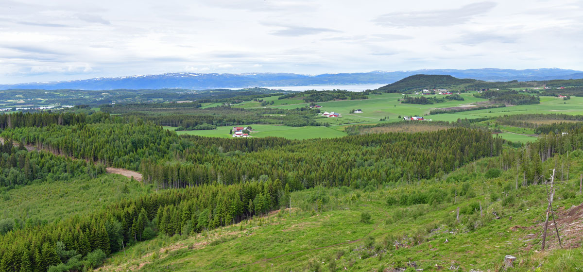 Gløshaugen - utsikt nordvest
