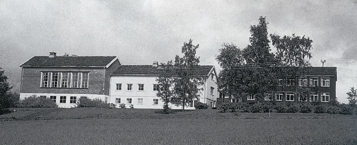 Henning skole (Skarpnes skole)