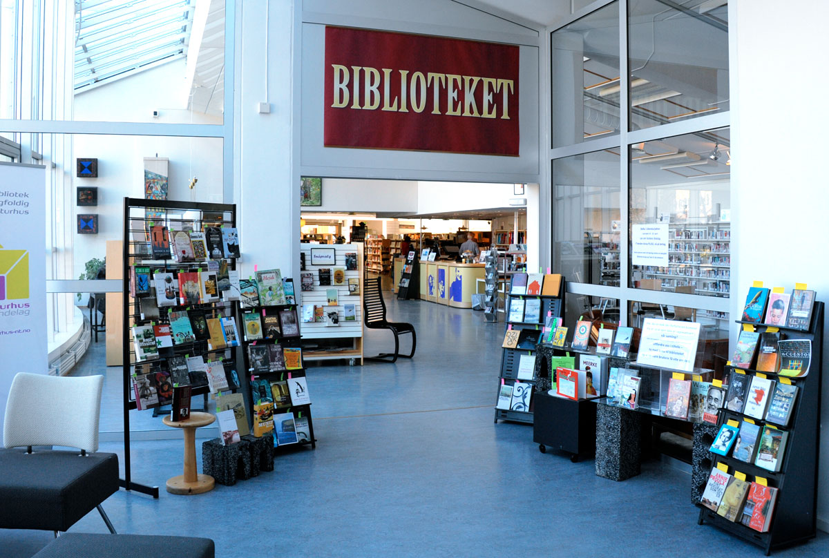 Steinkjer bibliotek - Dampsaga 