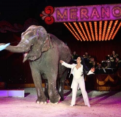 BABA:  Adriana Folco og hennes elefant Baba  en tungvekteren p 37 r og 3 tonn  beskte Steinkjer.  (Foto: Cirkus Merano)